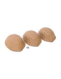 Giant Walnut Shells