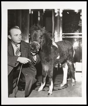 Pony From the Blackstone Show and Handler